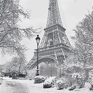 Guardanapo Winter In Paris 33317930 Ambiente com 2 peças
