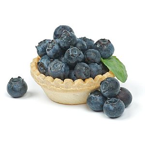 Bilberry - FA