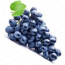 Concord Grape - FA