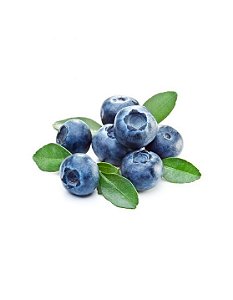 Blueberry - Capella