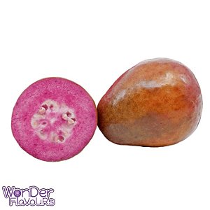 Malaysian Guava - WF