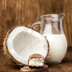 Chocolate Coconut Almond Candy Bar - TPA