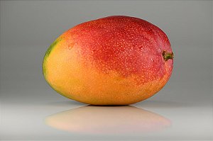 Mango  - Flavors Express