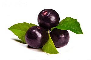 Açai Berry - Purilum