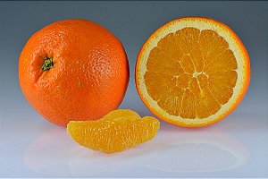 Orange Citrus - FLV