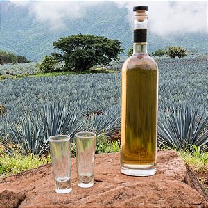 Tequila Agave - FLV