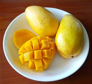 Mango Philippines - Wrecka