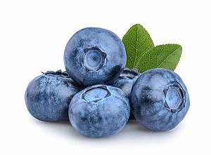 Blueberry - Wrecka