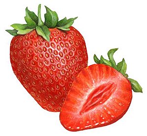 Strawberry Max - Wrecka
