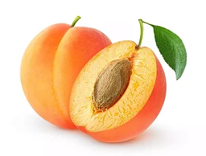 Amardeen (apricot) - WF