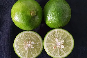 Lime - Essential Flavors (EF)