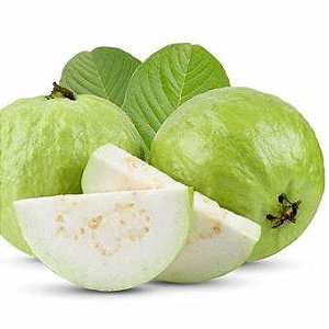 White Guava - Essential Flavors (EF)