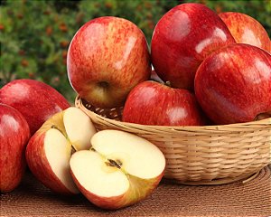 Apple - Essential Flavors (EF)