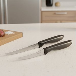 Kit 2 Facas Para Cortar Frutas Legumes Aço Inox 23cm e 18,5cm RT