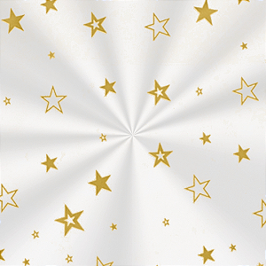 SACO POLI TRANSPARENTE ESTRELA OURO 10X14 PCT C/50 UN CROMUS