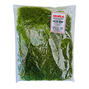 MUSGO DECORATIVO 30G VERDE CLARO RÚSTICO CROMUS