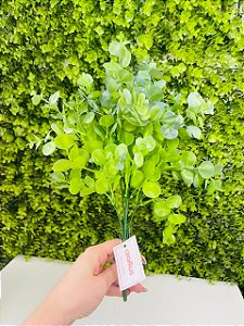 Pick De Eucaliptos 39cm Verde C/ 1un CROMUS