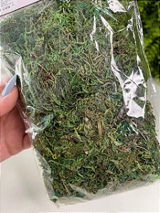 Musgo Decorativo Verde (Rústico) C/1un 30g Cromus 1064536