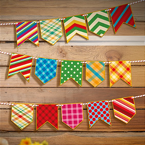 Kit 15 Bandeirinhas Estampadas Dupla Face Arraiá Festa Junina Decorativo Mesas Vitrines Escolar C6027 Ideia