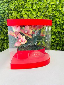 Caixa Coração Vermelho 26x26x25,5 Cromus 39001716