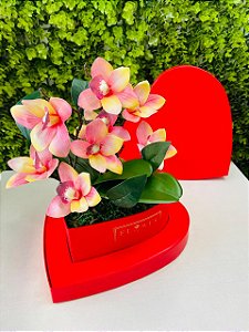Kit Presente Caixa Coração Vermelho E Orquidea Cromus