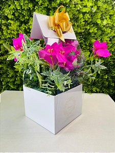 KIT PRESENTE CAIXA SACOLA C/ ALÇA  BRANCA G E FLOR BUGANVILIA CROMUS