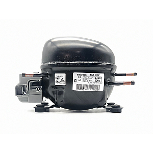 Motor Compressor 1/6 HP Gás R134A 110V Compatível W10393808