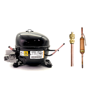 Motor Compressor 1/5 HP EM2S70CLP Gás R600 Embraco 220V + Brindes