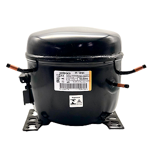 Motor Compressor 1/3 HP Compativel EGAS100HLR Gás R134A 220V