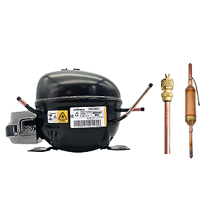 Motor Compressor 1/6 HP EM2S60CLP Gás R600 Embraco 220V