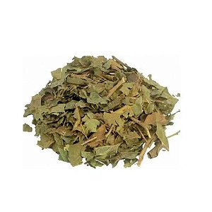 Chá de Bugre (Porangaba) - Pacote 100G