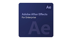After Effects - Pro for enterprise
