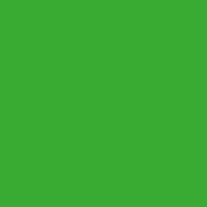 900972 - Liso Verde Bandeira