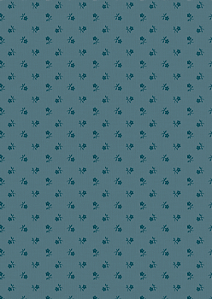 CR5001 - Petit Azul