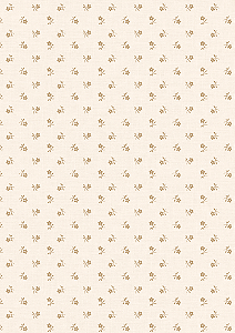 CR5003 - Petit Creme