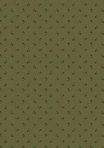 CR5005 - Petit Verde