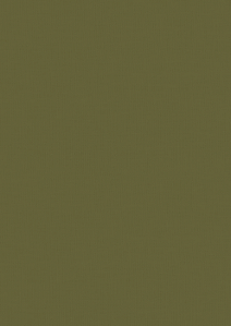 CRL005 - Liso Verde
