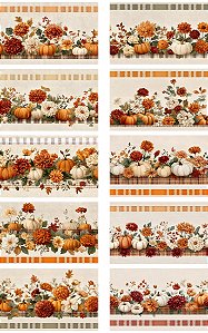 D2231 -BARRADO ABÓBORAS