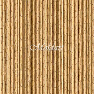 Papel de Parede Infantil CANDICE OLSON KIDS CK7695