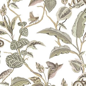 Papel de Parede BOTANY HOUSE 15507