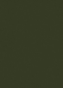 Papel de Parede FLORA - HOME FINISH 84407