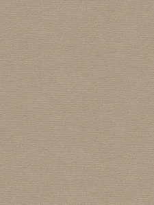 Papel de Parede TRENDWALL 2 306893