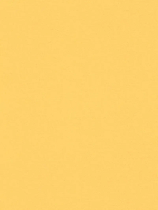 Papel de Parede THE WALL 3 389036