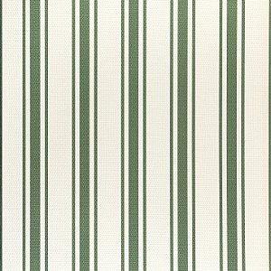 Papel de Parede REFÚGIO 4509