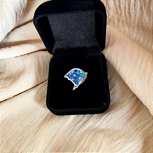 Botón Rio Grande Do Sul