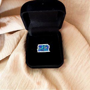 Botón Distrito Federal