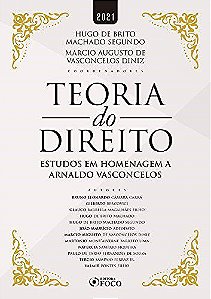 Livro Teoria Do Direito - Foco