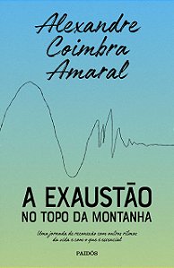 Livro Exaustao No Topo da Montanha, A: Uma Jornada de Reconexao com Outros Ritmos - Coimbra