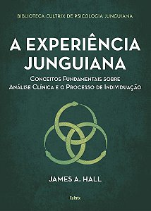 Livro Experiencia Junguiana, a - Conceitos Fundamentais sobre Analise Clinica e O - Hall
