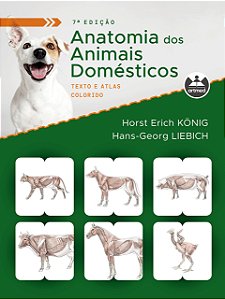 Livro - Anatomia dos Animais Domesticos: Texto e Atlas Colorido - Konig/liebich